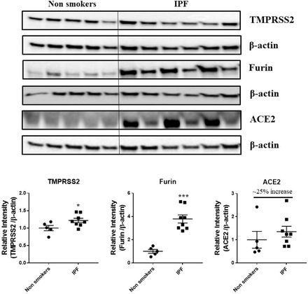 Figure 11.