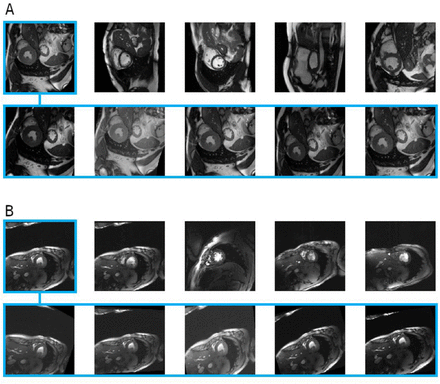 Figure 3: