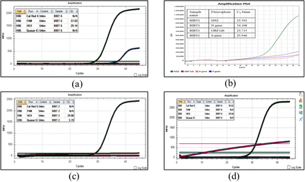 Figure 5: