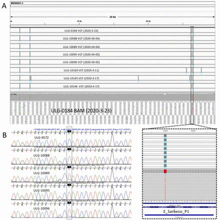 Figure 1.