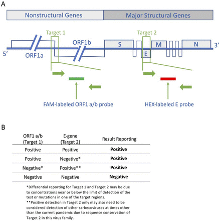 Supplementary Figure 1.