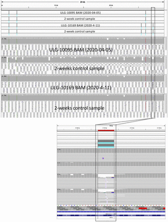 Supplementary Figure 2.