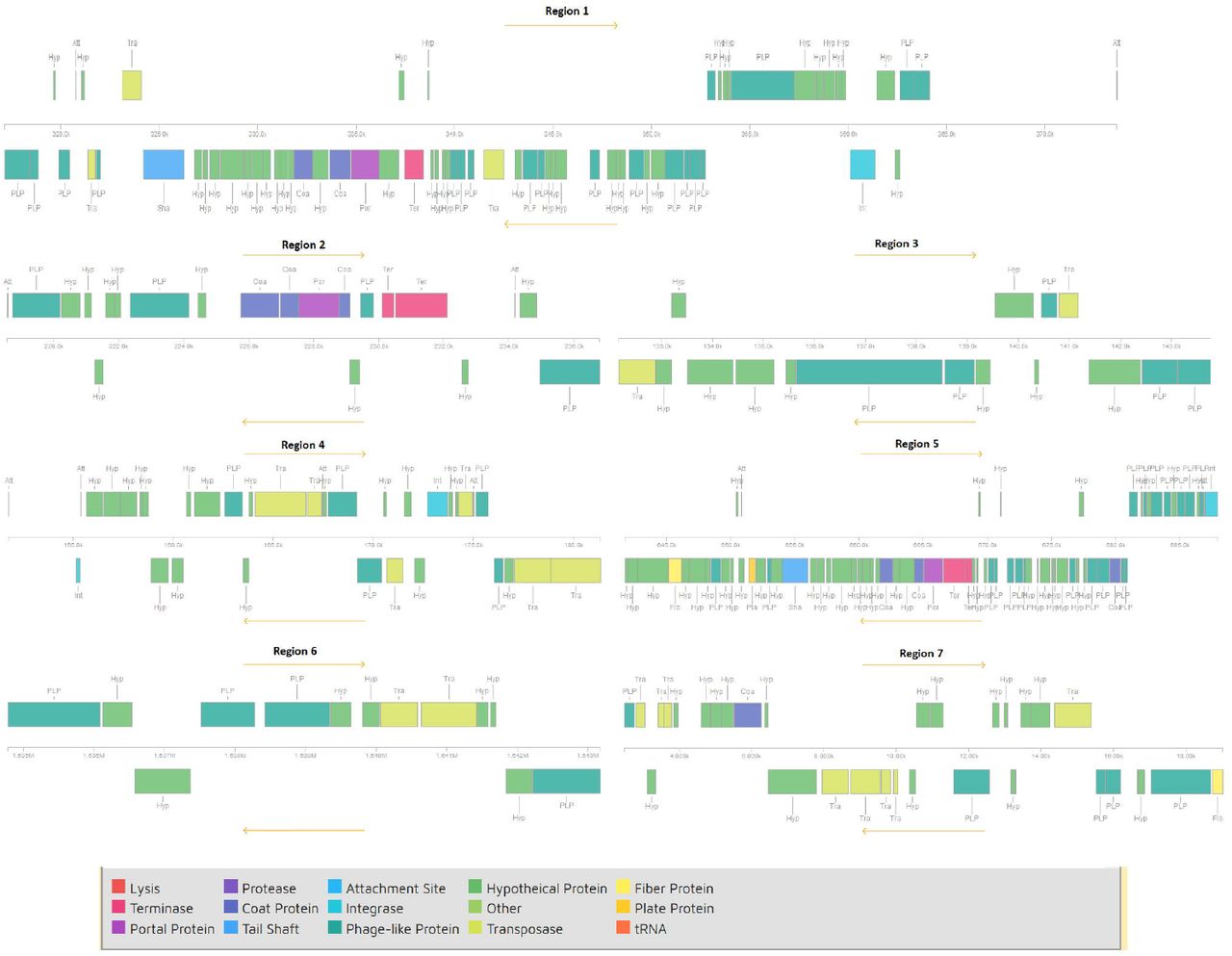 Epigenomics, Genomics, Resistome, Mobilome, Virulome and Evolutionary ...