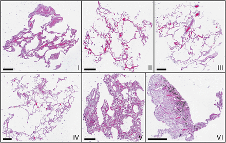 Fig. 11: