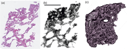 Fig. 13: