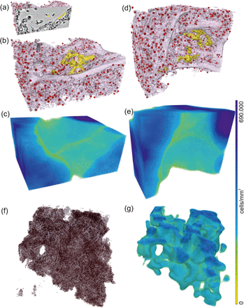 Fig. 8: