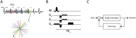 Fig 1.