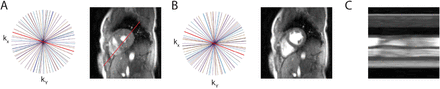 Fig 2: