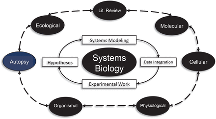 Figure 5.