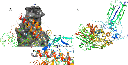 Figure 5.