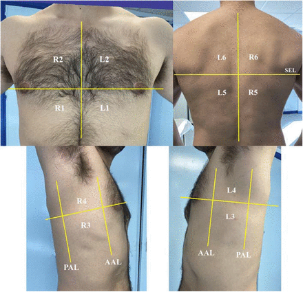 Figure 1: