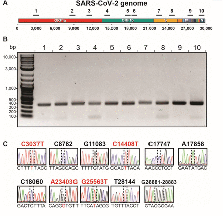 Supplementary Figure S2.