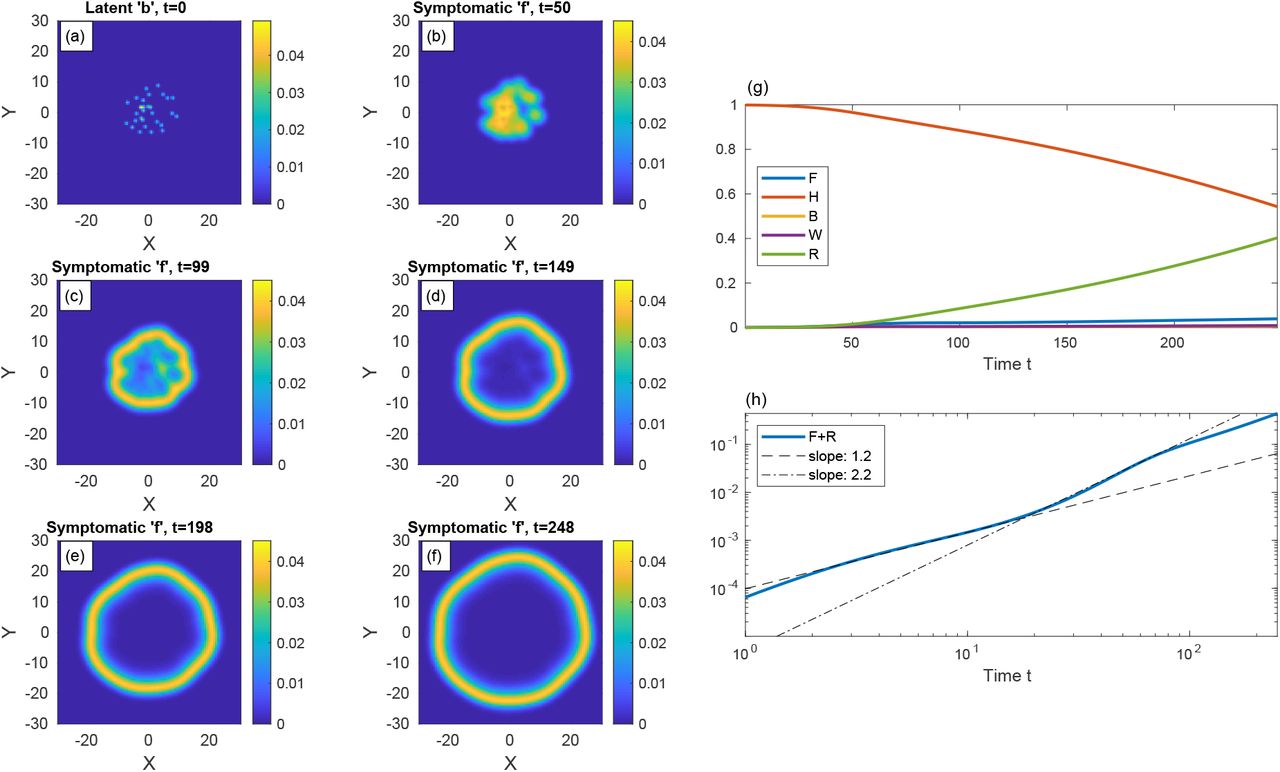 Epidemiological Model For The Inhomogeneous Spatial Spreading Of Covid 19 And Other Diseases Medrxiv