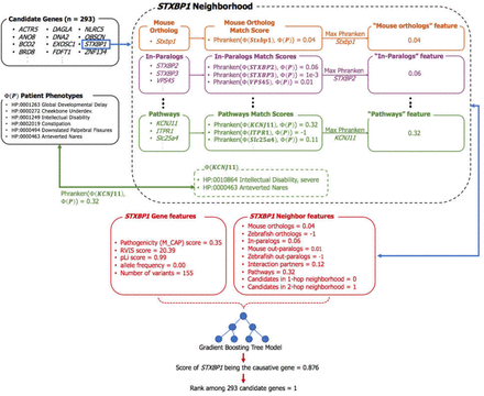 Figure 4.