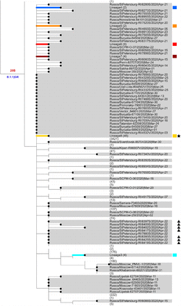 Fig 2.