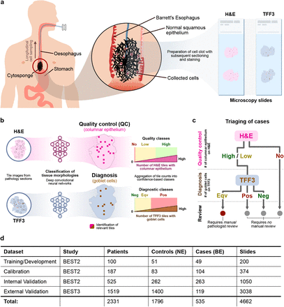 Figure 1: