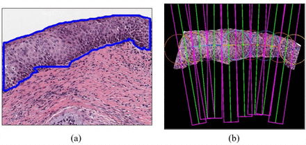 Figure 6.