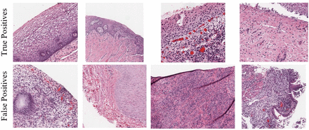 Figure 7.