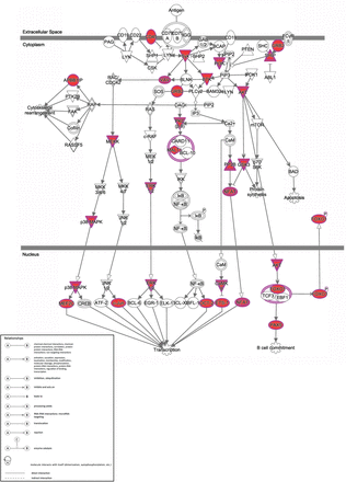 Supplemental Figure 6.