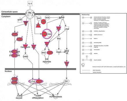 Supplemental Figure 7.