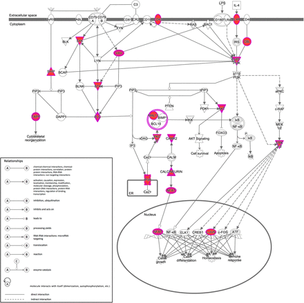 Supplemental Figure 8.