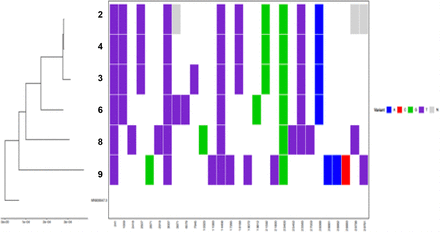 SUPPLEMENTARY FIGURE 1: