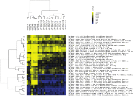 SUPPLEMENTARY FIGURE 3: