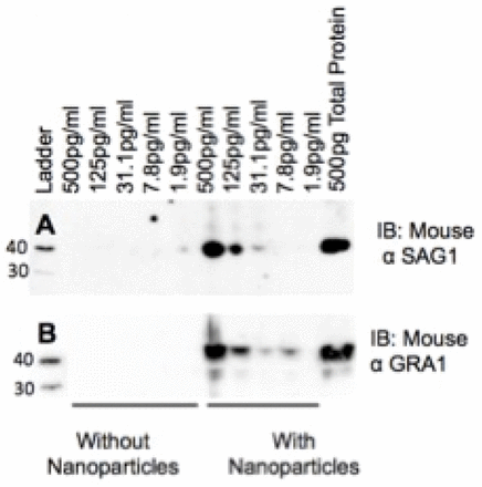 Figure 2: