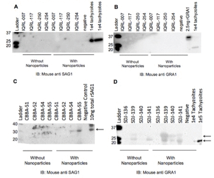 Figure 3: