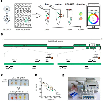 Figure 1: