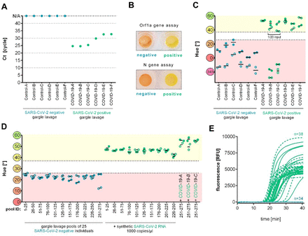 Figure 2: