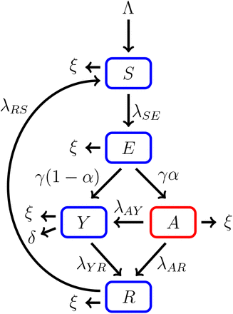 Figure 1: