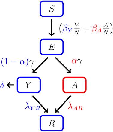 Figure 2: