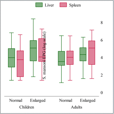 Figure 6: