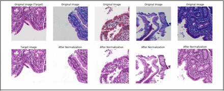 Figure 1: