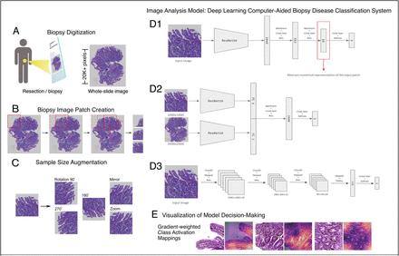 Figure 2: