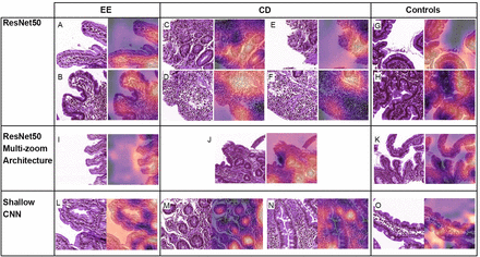 Figure 5: