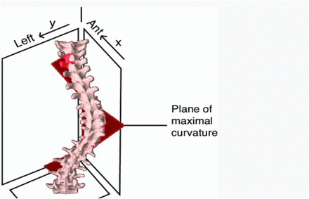 Fig 1.