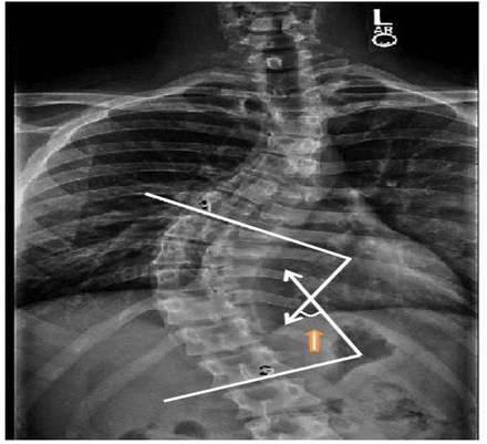 Fig. 4.