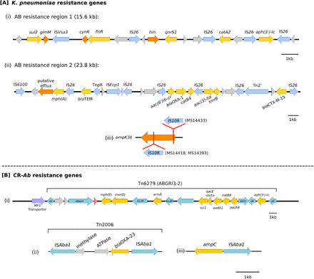 Supplementary Figure 6: