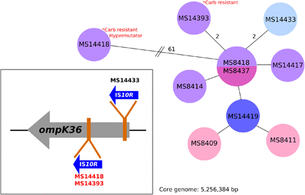 Supplementary Figure 8: