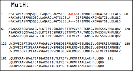 Supplementary Figure 9: