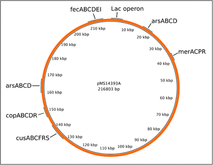 Supplementary Figure 10: