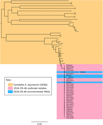 Figure 5: