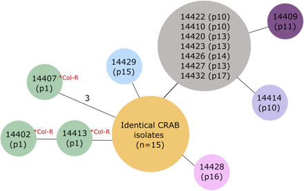 Supplementary Figure 2: