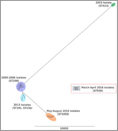 Supplementary Figure 3: