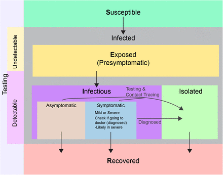 Figure 2: