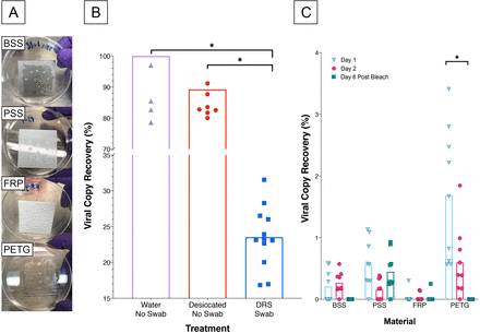 Figure 3: