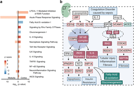 SI Figure 13