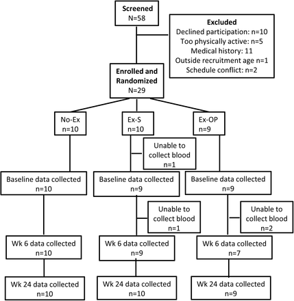 Figure 2.